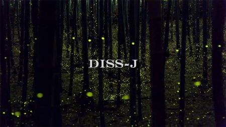 Светлячки в лесу