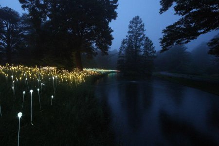 Полли хорват \ ночной сад\