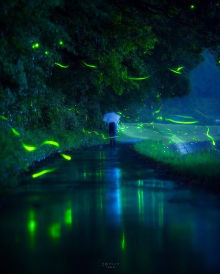 Река светлячков в куала лумпур