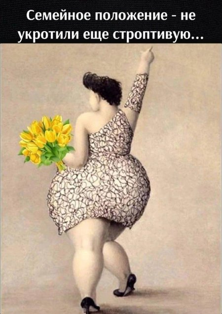 Толстушка юмор