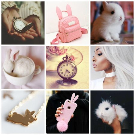 Белый кролик эстетика