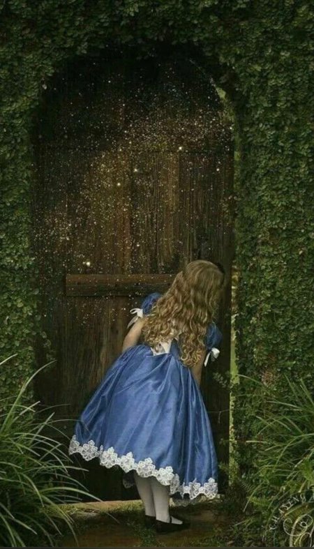 Фотосессия алиса в стране чудес