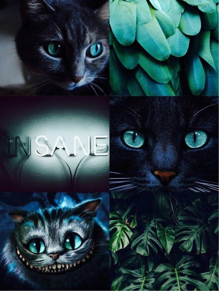 Чеширский кот из алисы в стране чудес