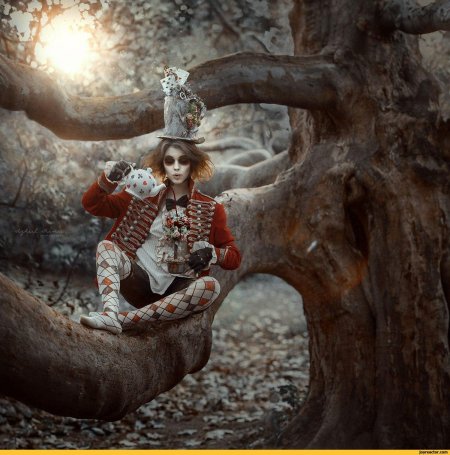 Шляпник алиса в стране чудес