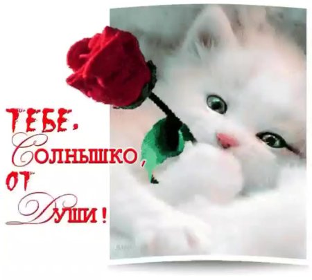 Открытка девушке