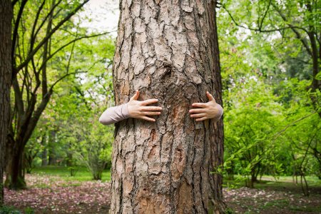 Человек обнимает дерево