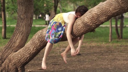 Девушка на дереве