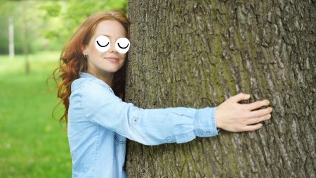 Девушки, выглядывающие из за деревьев