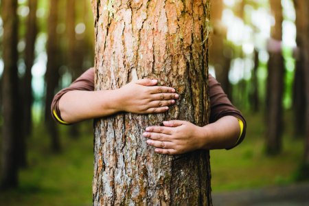 Обнимает дерево