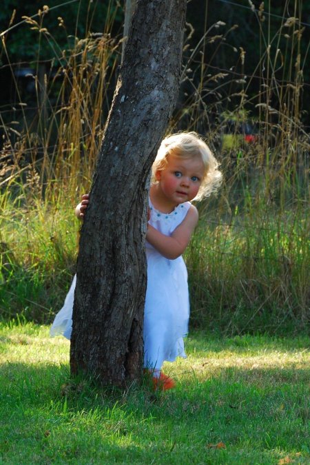 Девушка спряталась за деревом