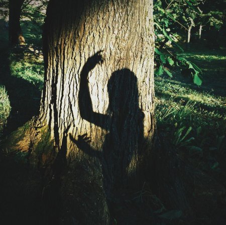 Выглядывает из за дерева