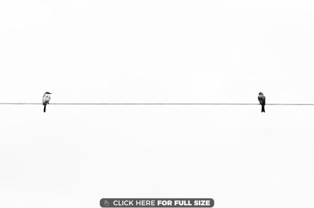 Черно белый минимализм