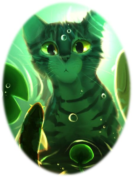 Коты воители зелёный кот