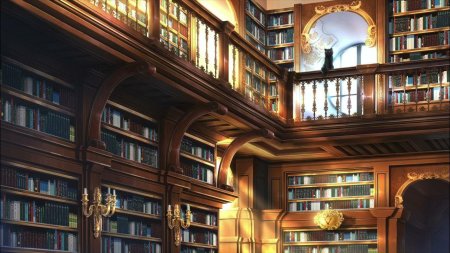 Геншин библиотека фон