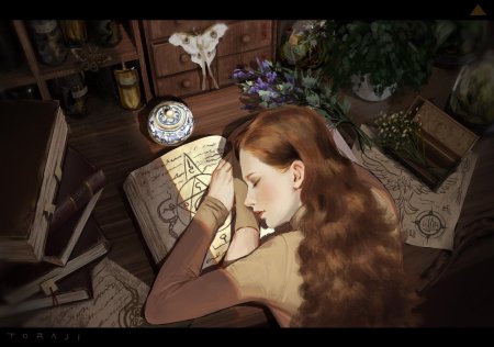 Toraji художник