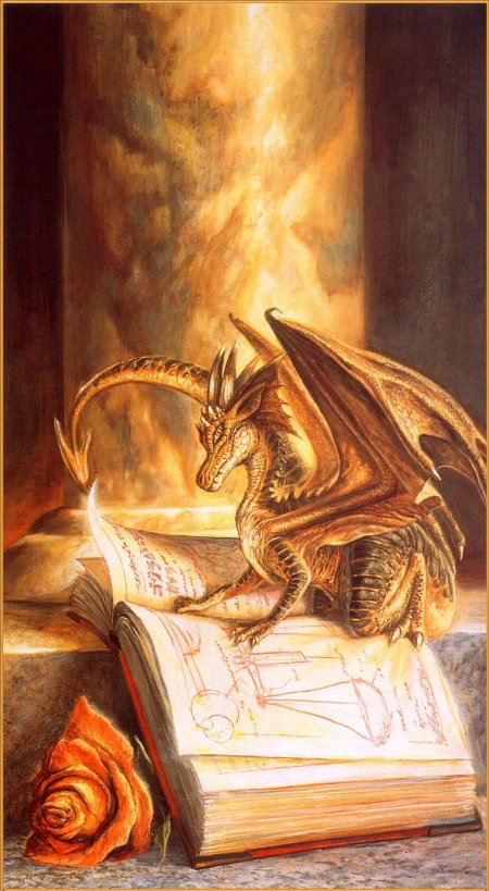 Мудрые драконы