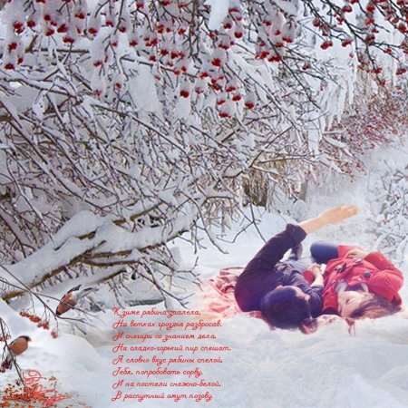 Рябина зимой стихи