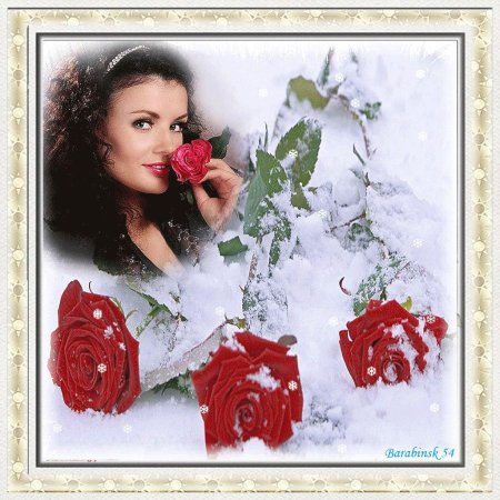 Роза на снегу