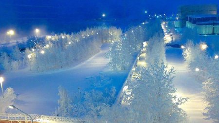 Зимний сургут