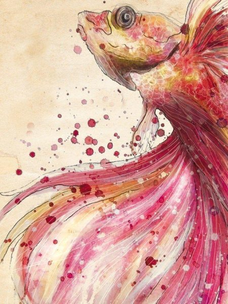 Вуалехвост рыбка акварель