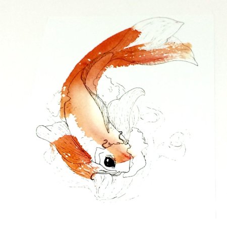 Рыбка карп кои акварелью