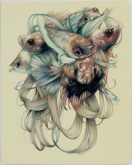 Марко маззони рисунки