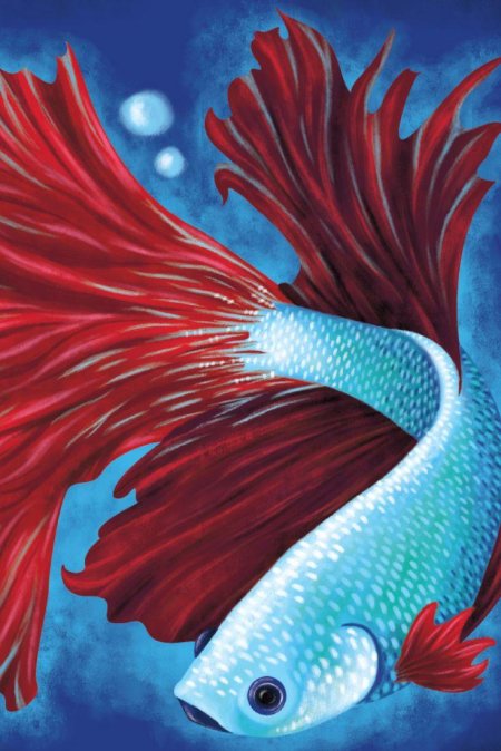 Арты рыбки петушка