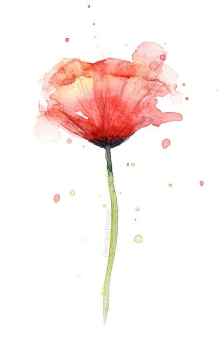 Цветок акварель