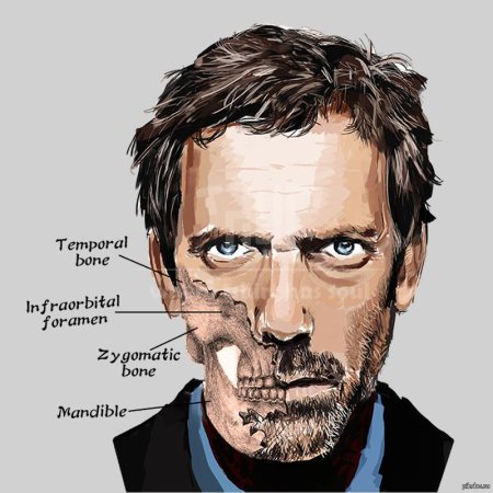 Хью лори доктор хаус