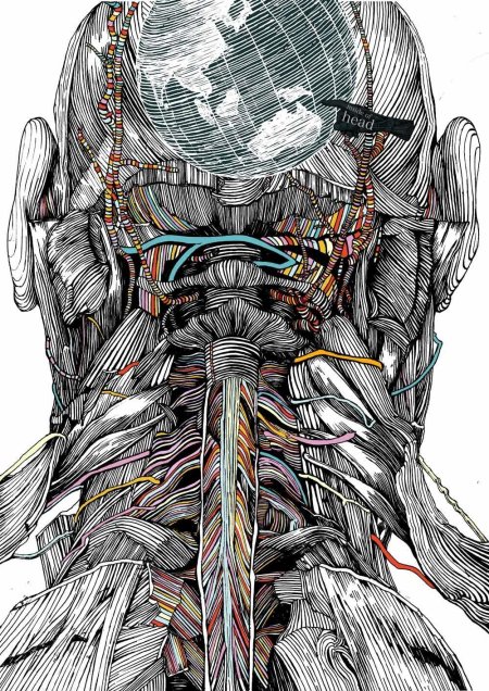 Анатомии человека
