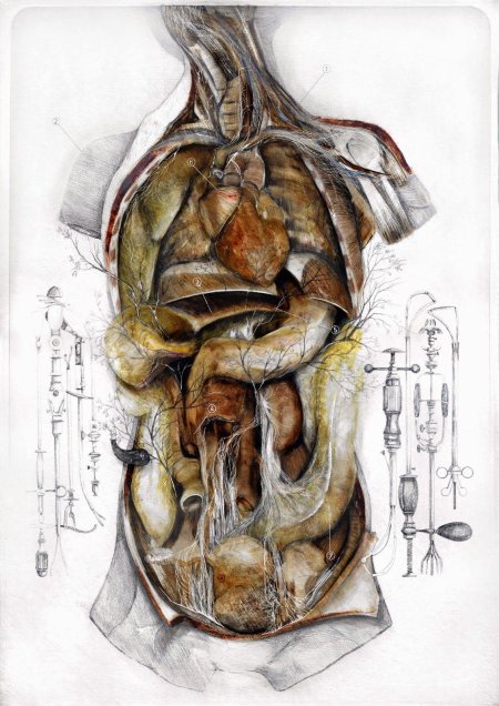 Художник nunzio paci