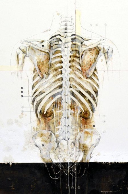 Анатомические рисунки как искусство