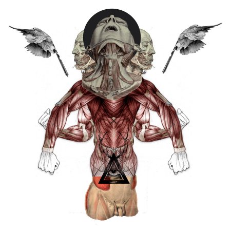 Человека анатомия