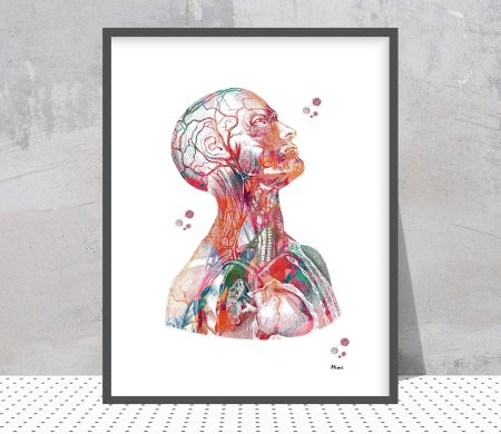 Анатомия портрета