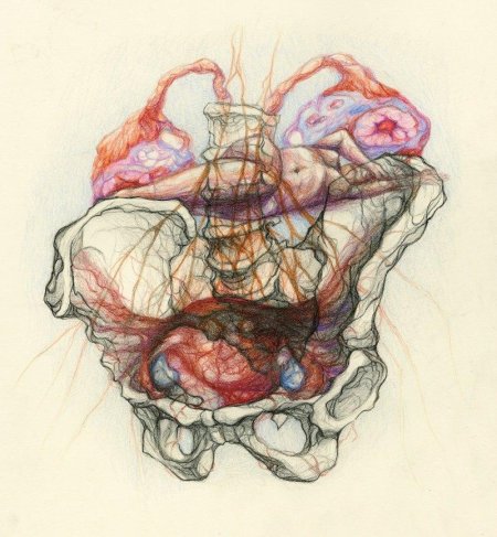 Анатомический арт