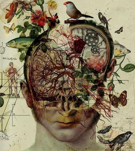 Хуан гатти анатомические коллажи