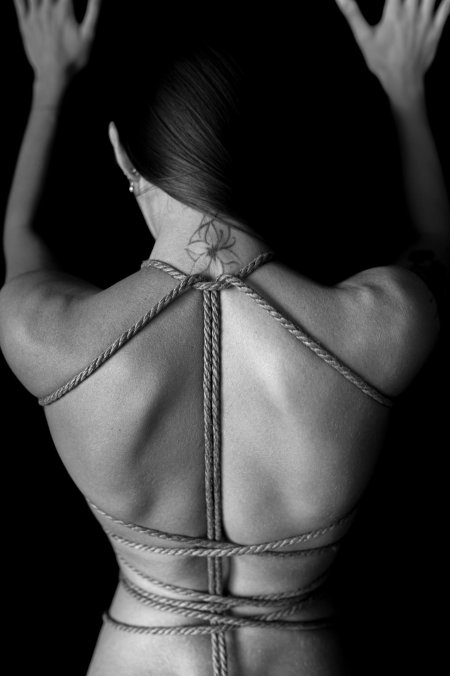 Шибари эстетика