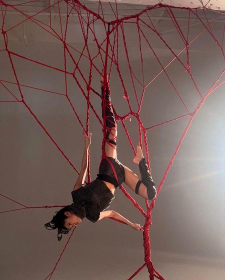 Шибари референс