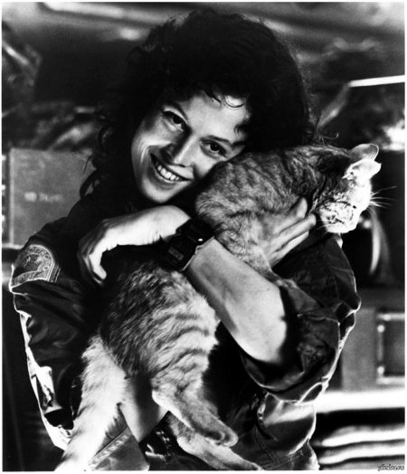 Сигурни уивер