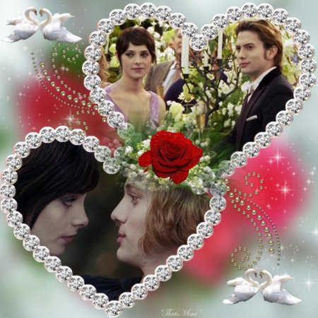 С марта эдвард каллен