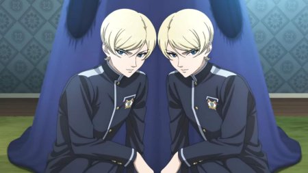 Близнецы аниме