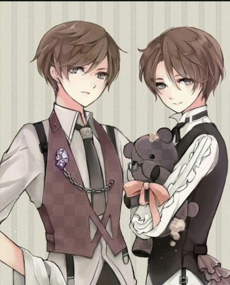 Аниме брата близнецы