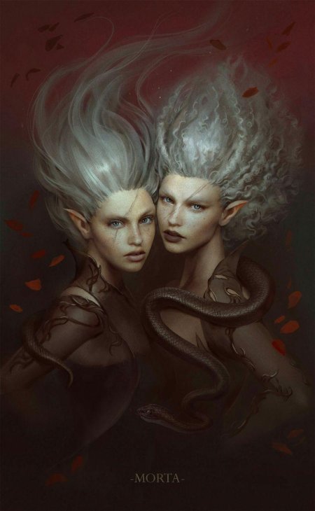 Близнецы фэнтези