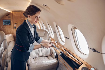 Стюардесса частного самолёта