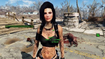 Кейт из фоллаут