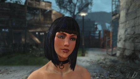 Fallout 4 vault meat