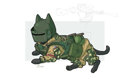 Боевой котик