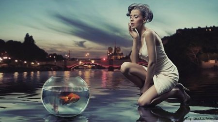 Аквариум золотая рыбка