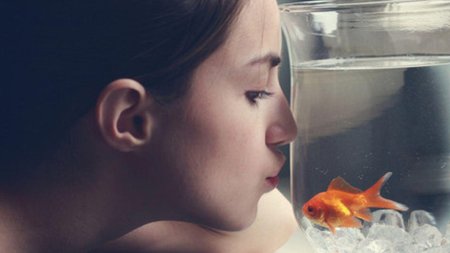 Девушка и золотая рыбка