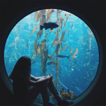 Фотосессия в океанариуме